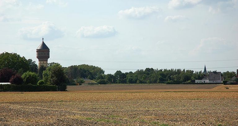 GRÜNE pro Rixbecker Feldflur
