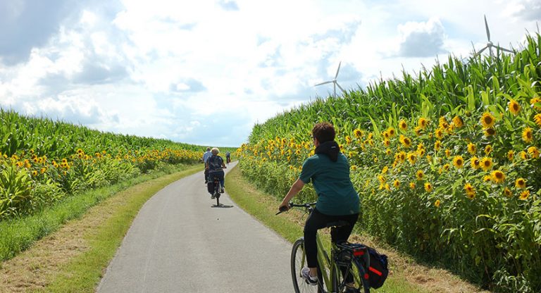 GRÜNE auf Tour in den Westen Lippstadts