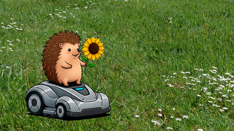 Nachtverbot für Mähroboter zum Schutz der Igel